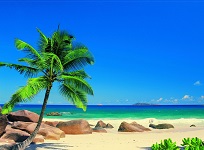 Spokojna plaża na Karaibach